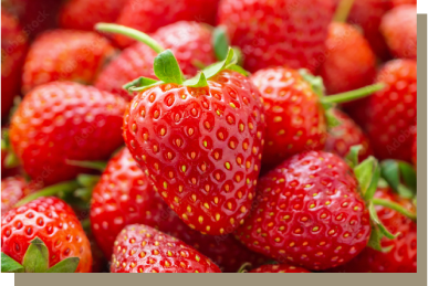草莓表面的突起是果實